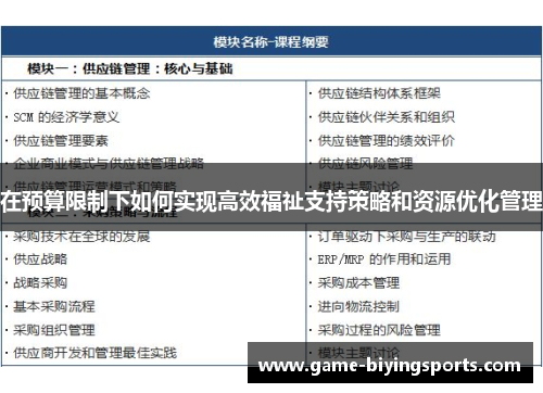在预算限制下如何实现高效福祉支持策略和资源优化管理 在预算限制下如何实现高效福祉支持策略和资源优化管理